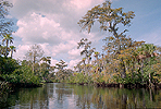 Loxahatchee River